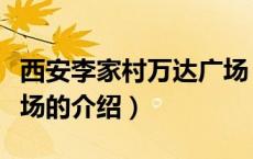 西安李家村万达广场（关于西安李家村万达广场的介绍）