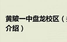 黄陂一中盘龙校区（关于黄陂一中盘龙校区的介绍）