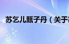 苏乞儿甄子丹（关于苏乞儿甄子丹的介绍）