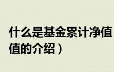 什么是基金累计净值（关于什么是基金累计净值的介绍）