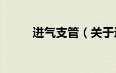 进气支管（关于进气支管的介绍）