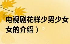 电视剧花样少男少女（关于电视剧花样少男少女的介绍）