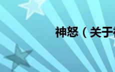 神怒（关于神怒的介绍）