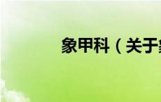 象甲科（关于象甲科的介绍）