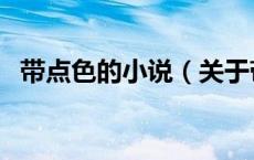 带点色的小说（关于带点色的小说的介绍）