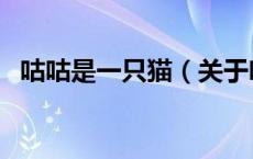 咕咕是一只猫（关于咕咕是一只猫的介绍）