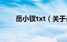 岳小钗txt（关于岳小钗txt的介绍）