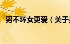 男不坏女更爱（关于男不坏女更爱的介绍）