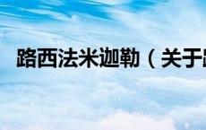 路西法米迦勒（关于路西法米迦勒的介绍）