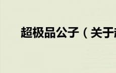 超极品公子（关于超极品公子的介绍）