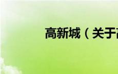 高新城（关于高新城的介绍）