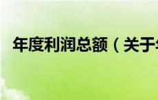 年度利润总额（关于年度利润总额的介绍）