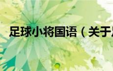 足球小将国语（关于足球小将国语的介绍）