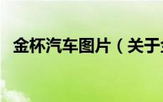 金杯汽车图片（关于金杯汽车图片的介绍）