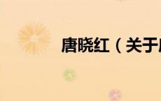 唐晓红（关于唐晓红的介绍）