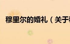 穆里尔的婚礼（关于穆里尔的婚礼的介绍）