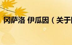 冈萨洛 伊瓜因（关于冈萨洛 伊瓜因的介绍）