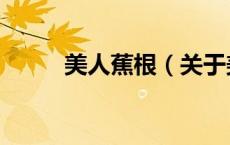 美人蕉根（关于美人蕉根的介绍）