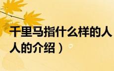 千里马指什么样的人（关于千里马指什么样的人的介绍）