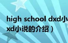 high school dxd小说（关于high school dxd小说的介绍）