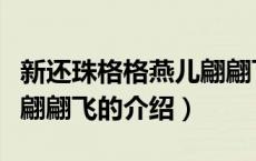 新还珠格格燕儿翩翩飞（关于新还珠格格燕儿翩翩飞的介绍）