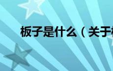 板子是什么（关于板子是什么的介绍）