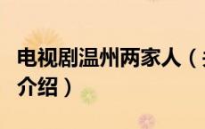 电视剧温州两家人（关于电视剧温州两家人的介绍）
