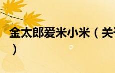 金太郎爱米小米（关于金太郎爱米小米的介绍）