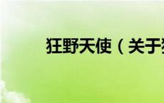 狂野天使（关于狂野天使的介绍）