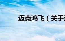 迈克鸿飞（关于迈克鸿飞的介绍）