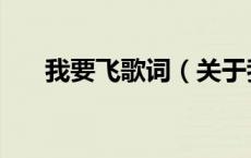 我要飞歌词（关于我要飞歌词的介绍）