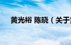 黄光裕 陈晓（关于黄光裕 陈晓的介绍）