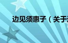 边见须惠子（关于边见须惠子的介绍）