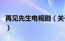 再见先生电视剧（关于再见先生电视剧的介绍）