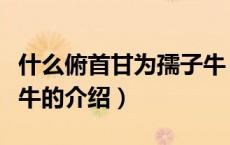什么俯首甘为孺子牛（关于什么俯首甘为孺子牛的介绍）
