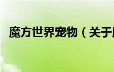 魔方世界宠物（关于魔方世界宠物的介绍）