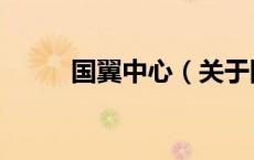 国翼中心（关于国翼中心的介绍）