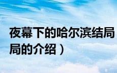 夜幕下的哈尔滨结局（关于夜幕下的哈尔滨结局的介绍）