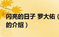 闪亮的日子 罗大佑（关于闪亮的日子 罗大佑的介绍）