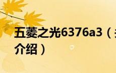 五菱之光6376a3（关于五菱之光6376a3的介绍）