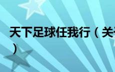 天下足球任我行（关于天下足球任我行的介绍）
