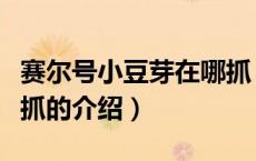 赛尔号小豆芽在哪抓（关于赛尔号小豆芽在哪抓的介绍）