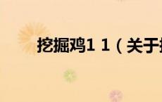 挖掘鸡1 1（关于挖掘鸡1 1的介绍）
