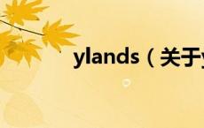 ylands（关于ylands的介绍）