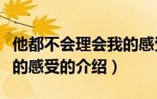 他都不会理会我的感受（关于他都不会理会我的感受的介绍）