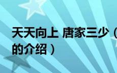 天天向上 唐家三少（关于天天向上 唐家三少的介绍）