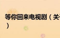 等你回来电视剧（关于等你回来电视剧的介绍）