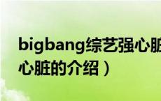 bigbang综艺强心脏（关于bigbang综艺强心脏的介绍）