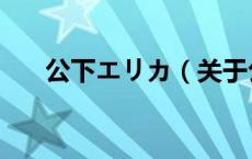 公下エリカ（关于公下エリカ的介绍）