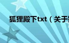 狐狸殿下txt（关于狐狸殿下txt的介绍）
